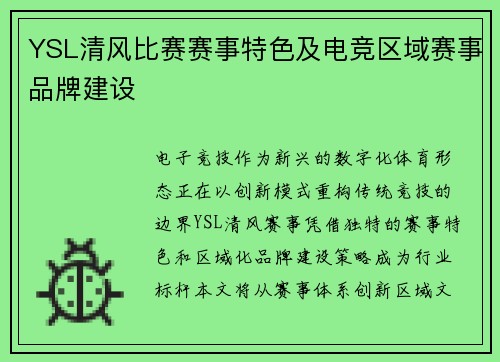 YSL清风比赛赛事特色及电竞区域赛事品牌建设